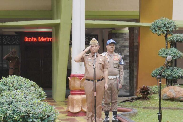 IMG-20250224-WA0031 (1)